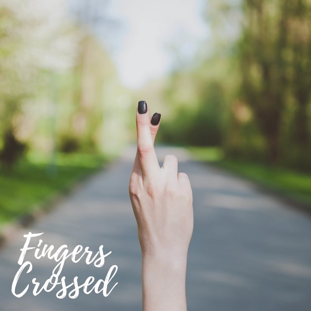 Fingers Crossed (Cover)