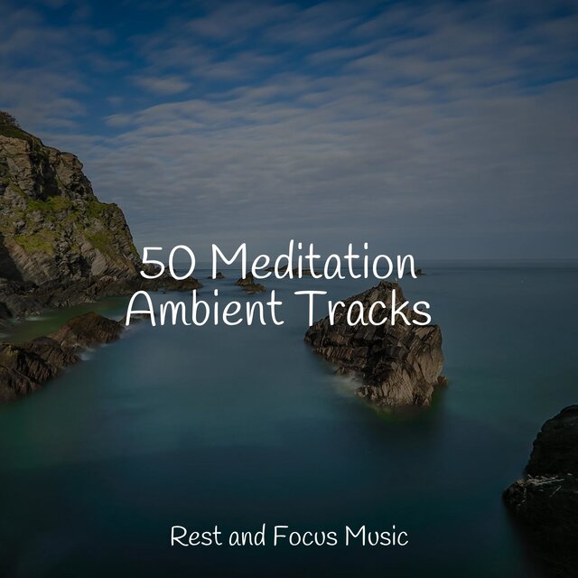 50 Meditation Ambient Tracks by Chakra Balancing Sound Therapy Brain
