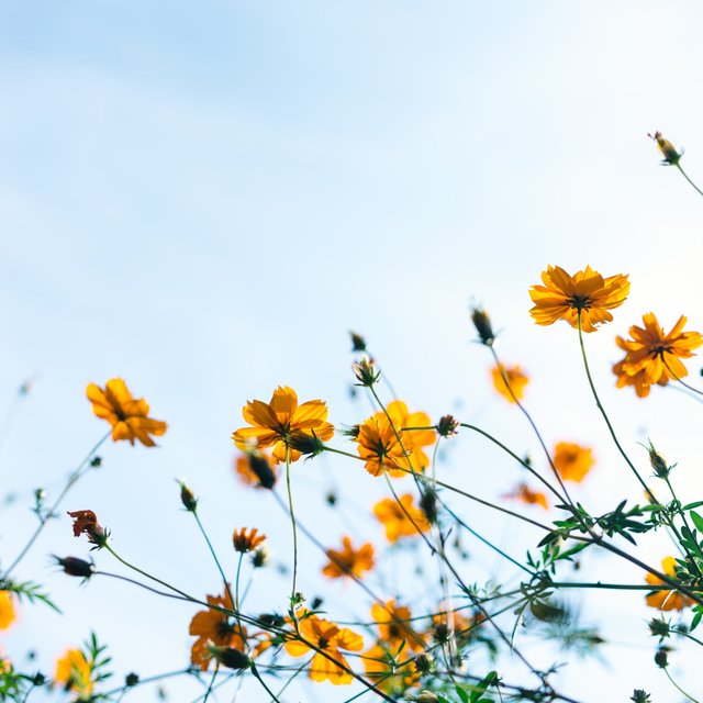 Summer
