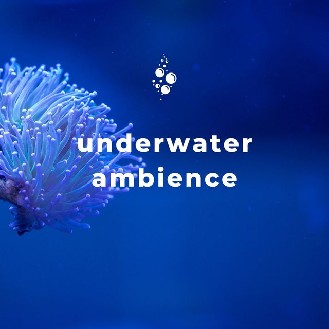 Underwater Ambience: Deep Sea Relaxation