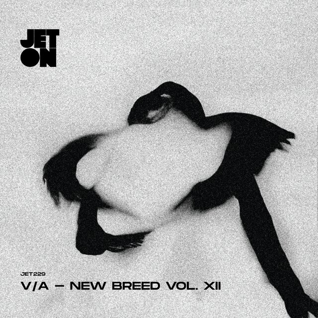 New Breed, Vol. Xii