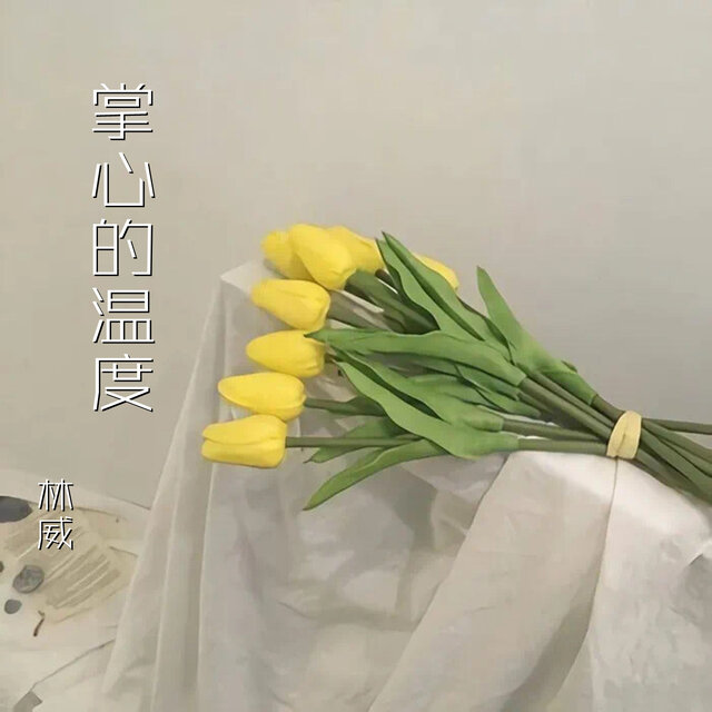 掌心的温度