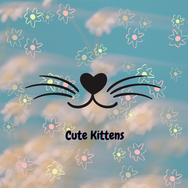 Cute Kittens