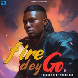 Fire Dey Go