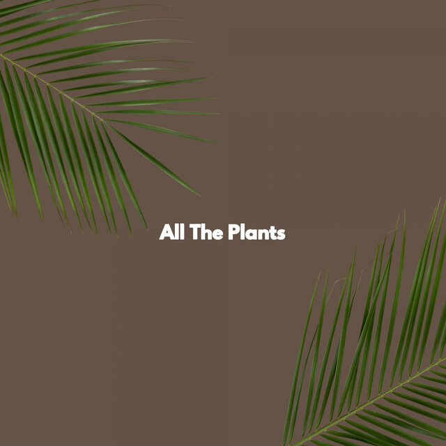 All The Plants