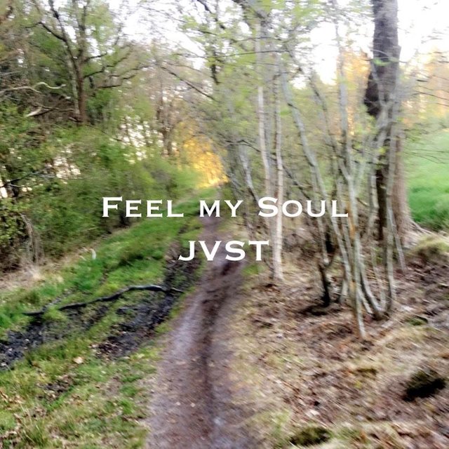 Feel My Soul