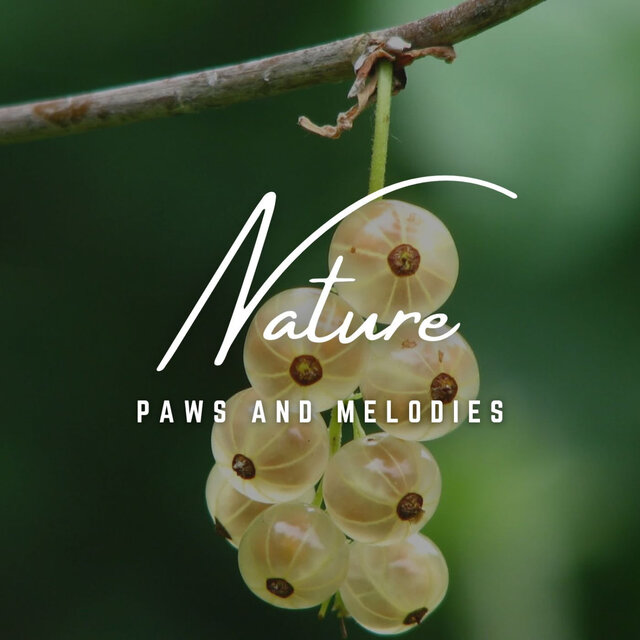 Paws and Melodies: Sonic Journeys for Canine Companions