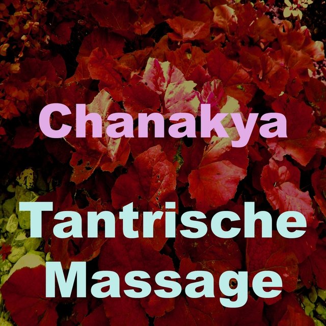 Tantrische massage (Vol. 3)