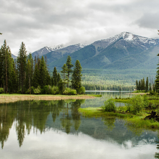 The Wilderness