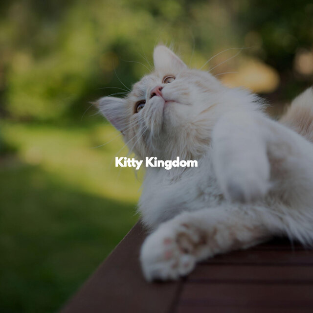Kitty Kingdom