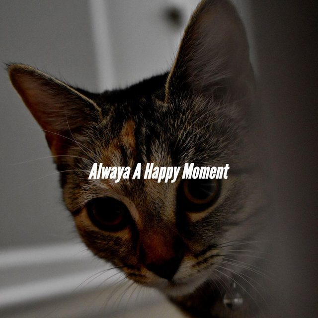 Alwaya A Happy Moment