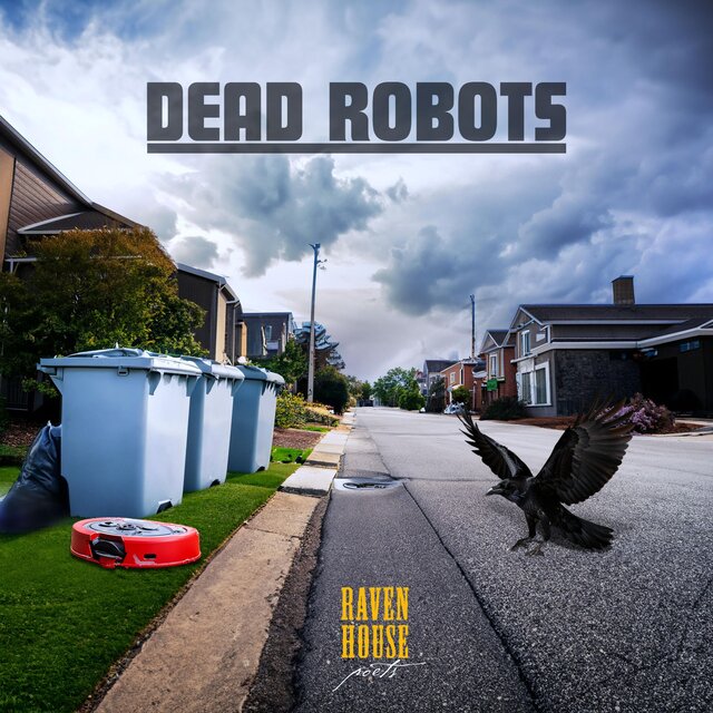 Cover art for album Dead Robots by Raven House Poets