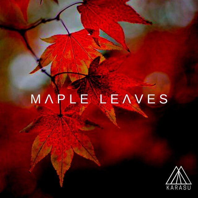 Maple Leaves