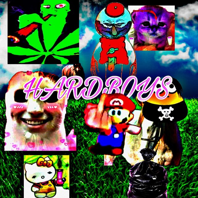 H a R D B o y S