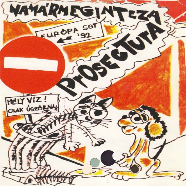 Namármegintezaprosectura