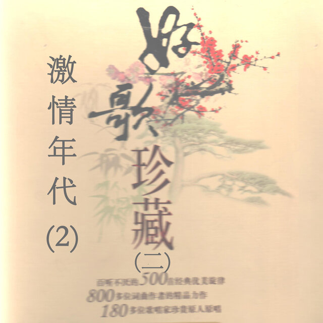 激情年代(2)—好歌珍藏（二）