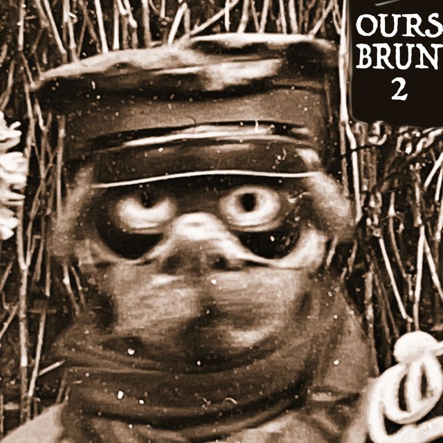 Ours Brun 2