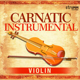 Swagatham Krishna (Instrumental)