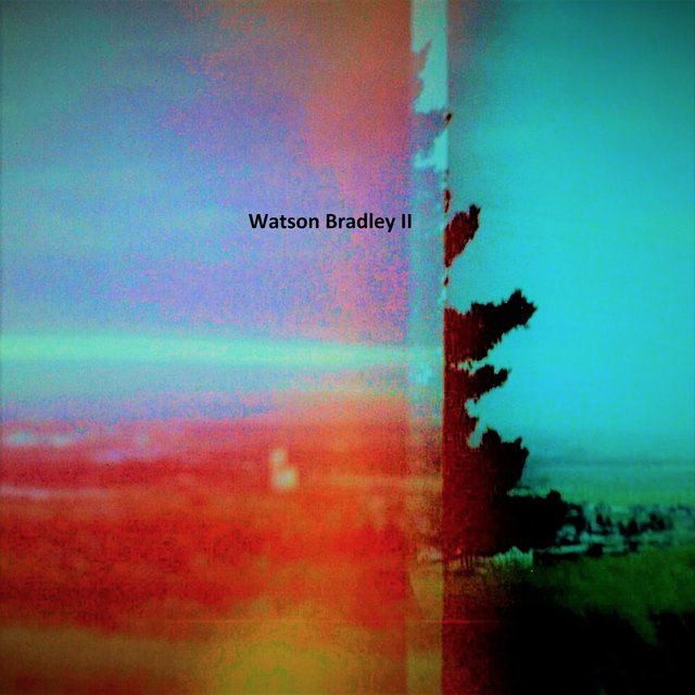Watson Bradley II