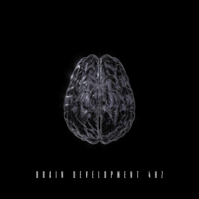 Brain Development 4 Hz
