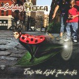 Ladybug Come Outside