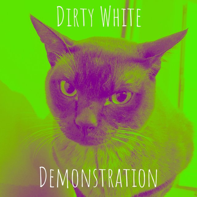 Demonstration