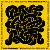 Me Gustas Tu