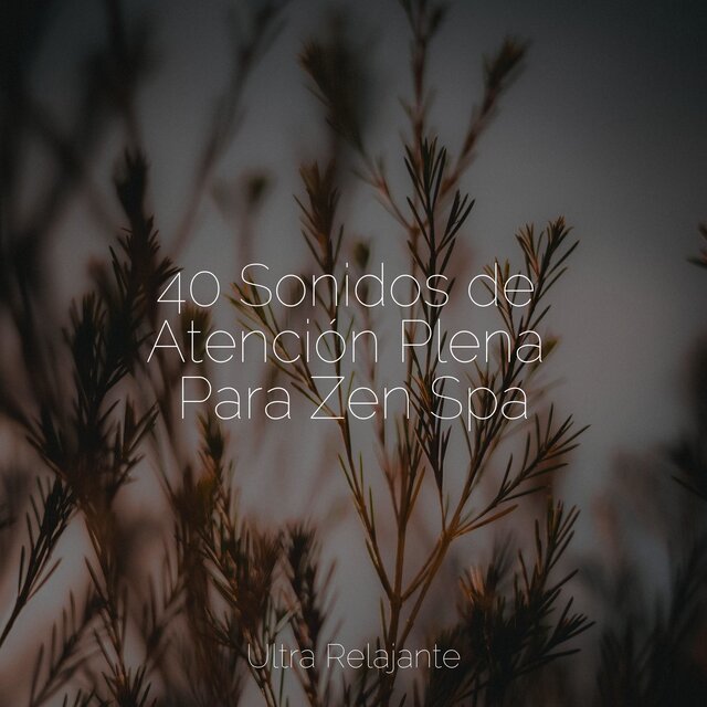 40 Sonidos de Atención Plena Para Zen Spa