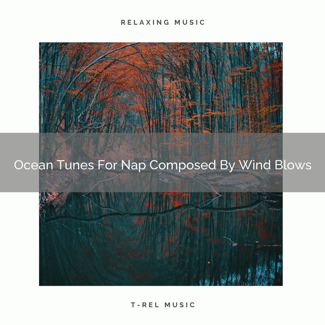 Ocean Tunes For Nap Composed By Wind Blows