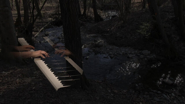 Cover art for album  by Nareh Arghamanyan