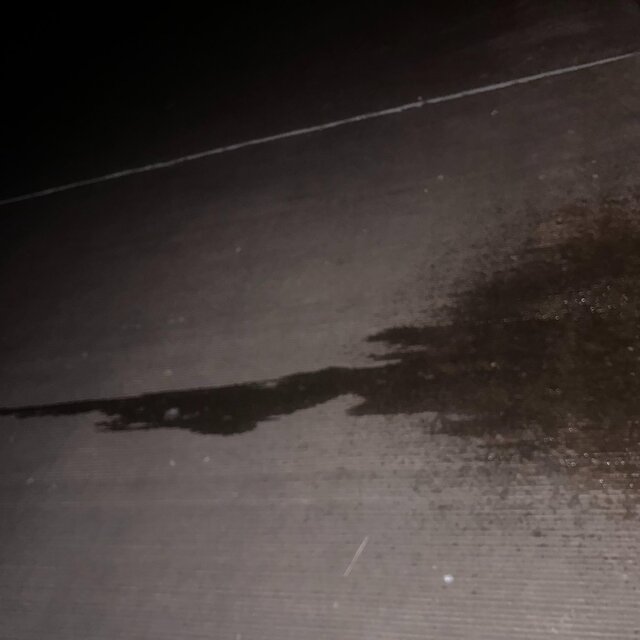 LOST PISS