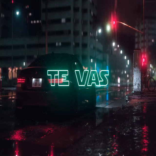 Te Vas - Turreo Edit