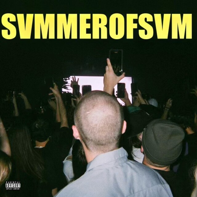 SVMMEROFSVM