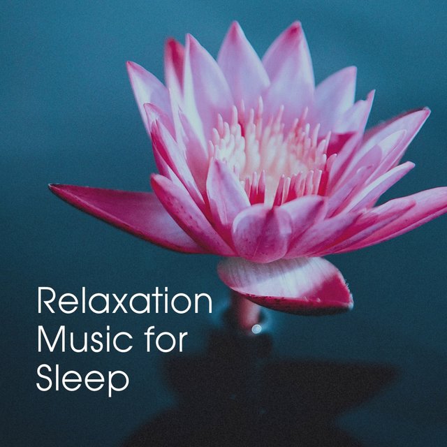 Relaxation Music for Sleep