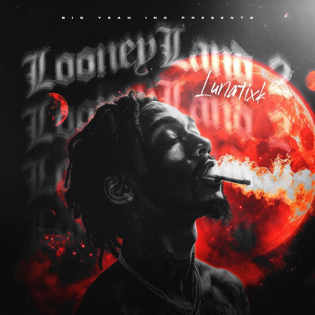 LooneyLand 2