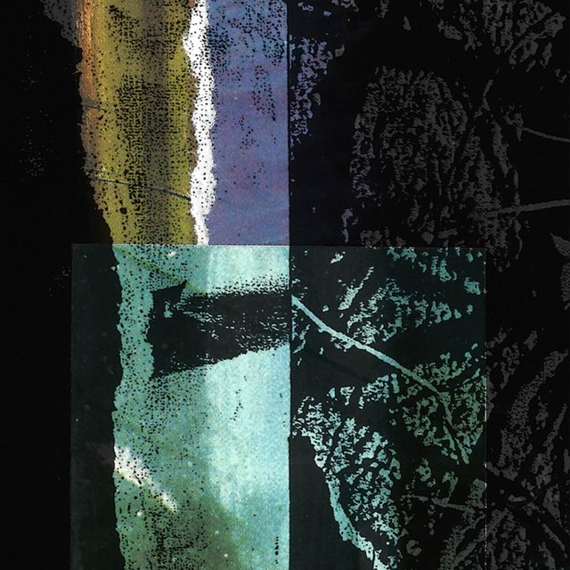 Particular Sites and Species