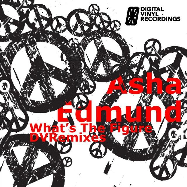 What's The Figure (The DVRemixes)