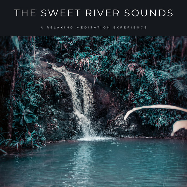 The Sweet River Sounds: A Relaxing Meditation Experience