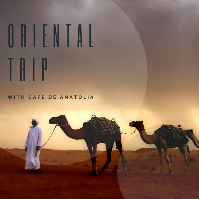 Oriental Trip