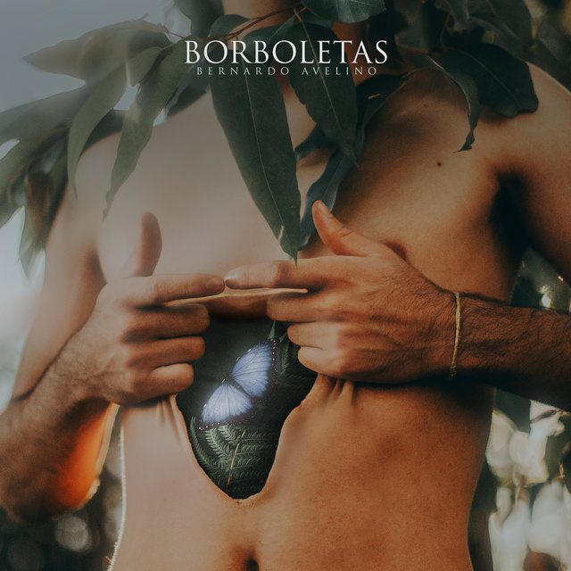 borboletas