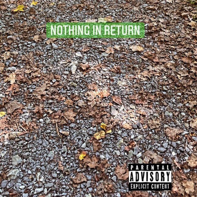 Nothing In Return