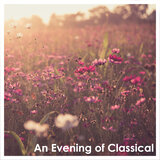 Rachmaninoff: 13 Préludes op.32: No. 13 In D Flat Major: Grave - Allegro - Grave