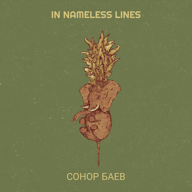 In Nameless Lines
