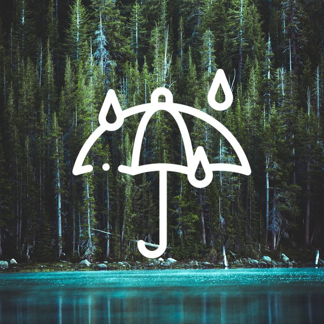 Light Rain and White Noise