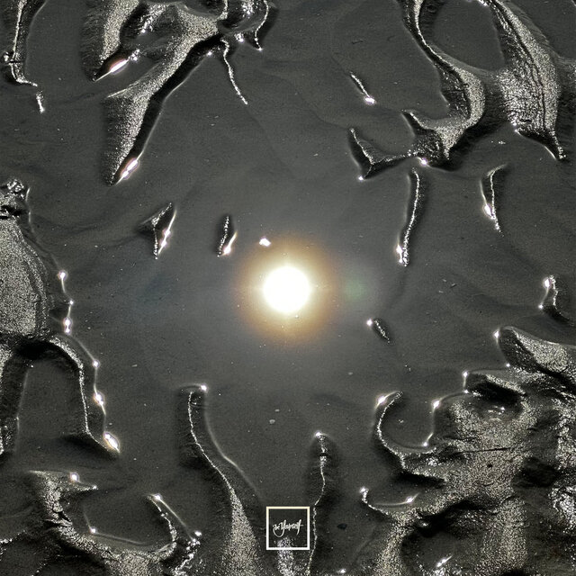 Lucid Visions