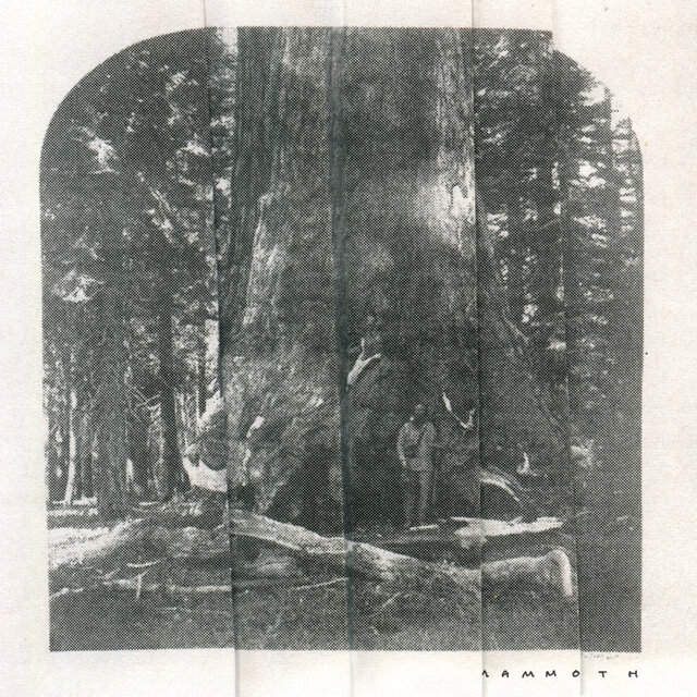 Mammoth