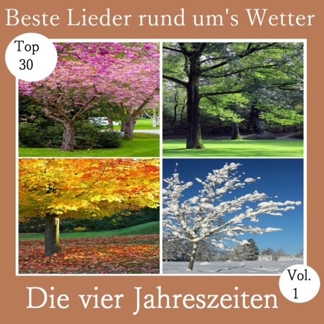 Top 30: Beste Lieder rund um's Wetter - Die vier Jahreszeiten, Vol. 1