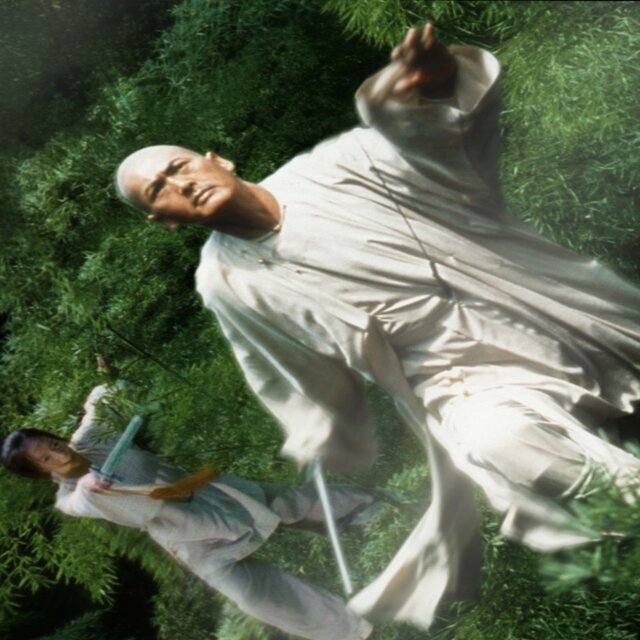 Crouching Tiger Hidden Dragon