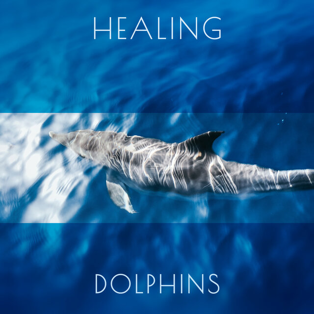 Healing Songs of Dolphins