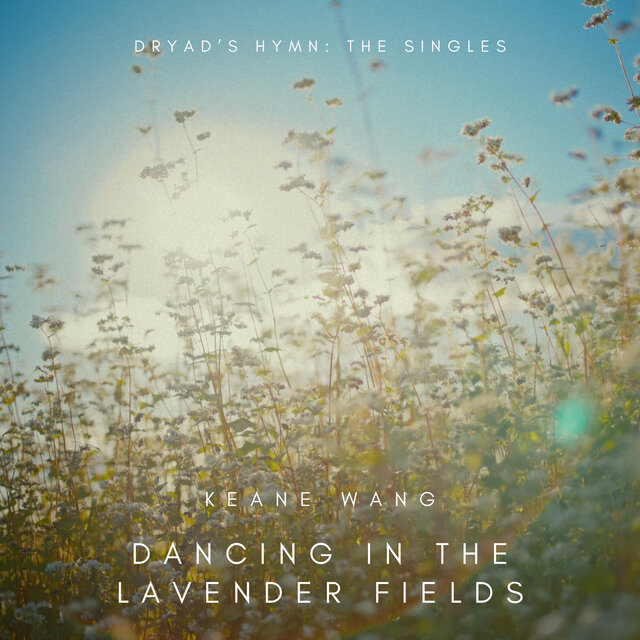 Dancing in the Lavender Fields